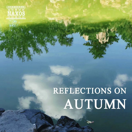 成人黄色小说视频
